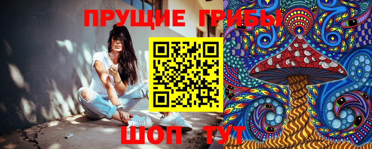 Псилоцибиновые грибы Cubensis  Вход с VPN  Омск 
