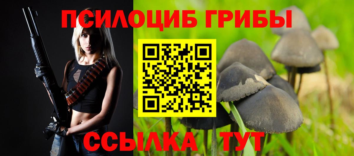 Галлюциногенные грибы MAGIC MUSHROOMS Омск
