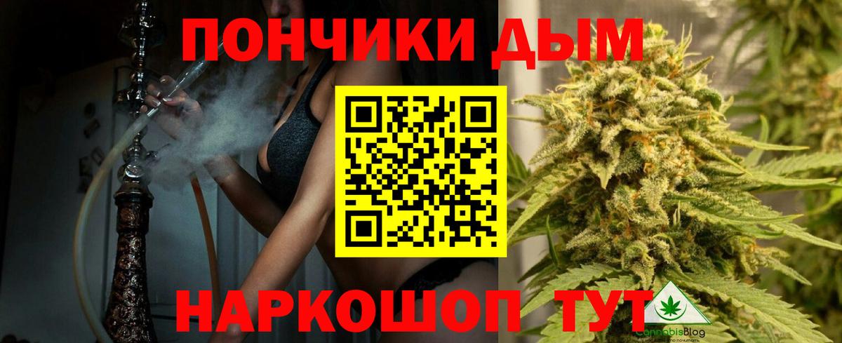 Канабис конопля Омск